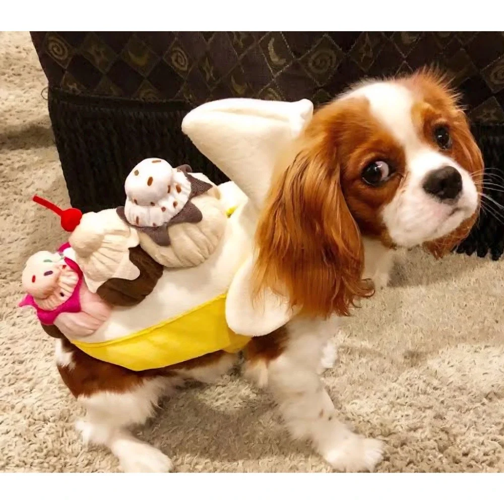 Dog costume Banana‎ Split size M